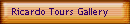 Ricardo Tours Gallery