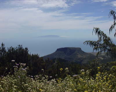 El HierrofloresMAY02