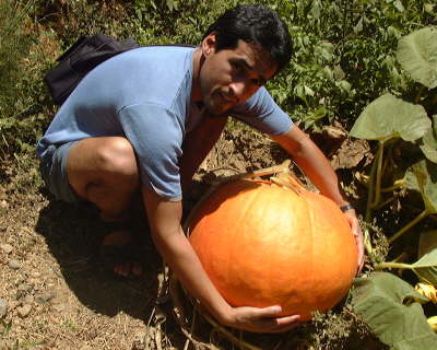 RicardoCalabaza