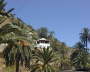 VallehermosoPalmeras6j